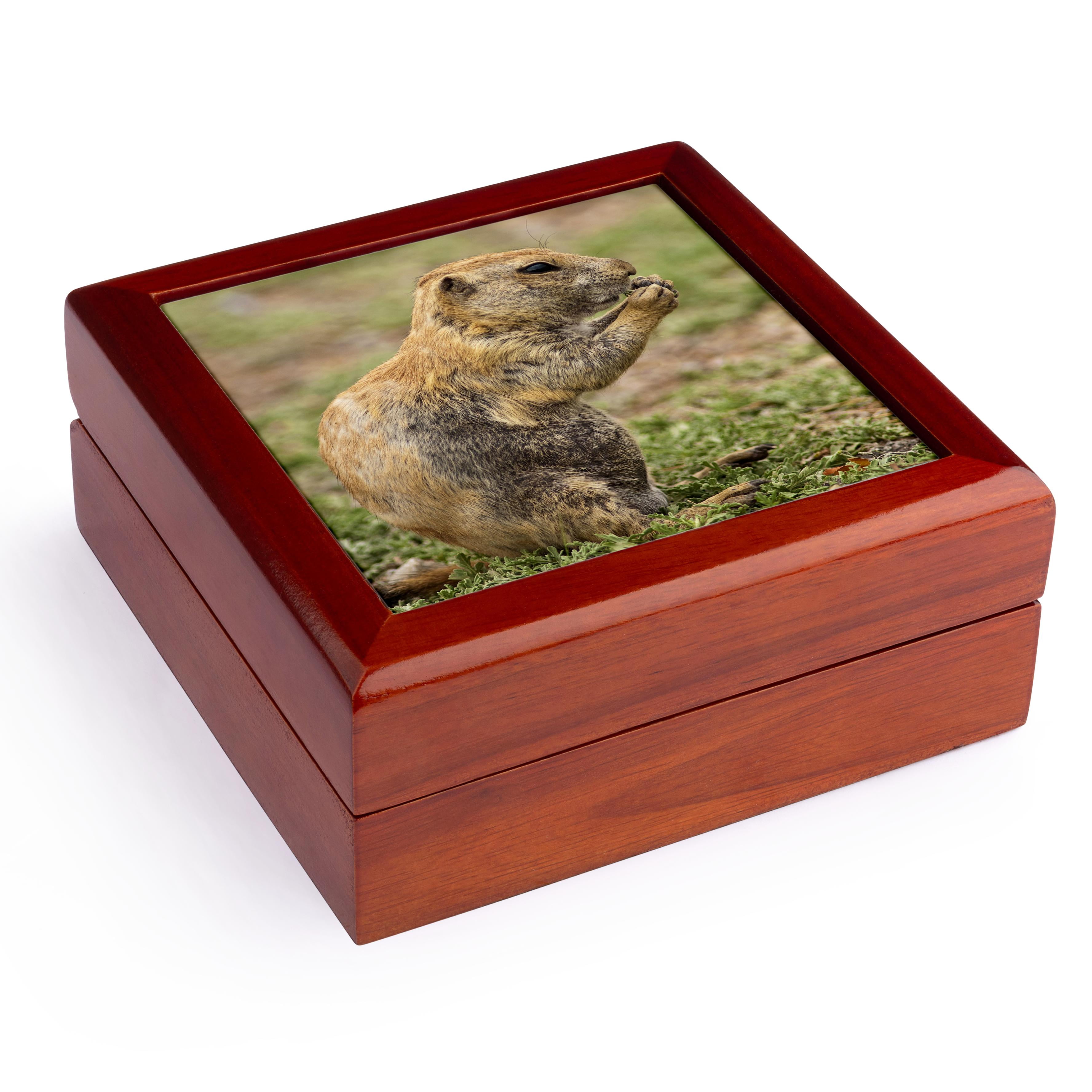 3dRose, Oklahoma. Prairie dog - US37 MDE0015 - Michael DeFreitas, Jewelry Box 5.5x5.5 inch with 4 inch tile