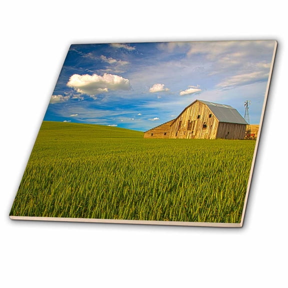 3dRose, Old Barn in Field of Spring Wheat, PR., 8 Inch Ceramic Tile