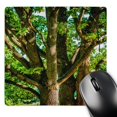 thumbnail image 1 of 3dRose, Old oak trees in summer, MousePad, 1 of 7