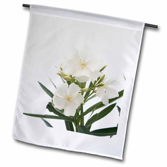 3dRose, Oleander White - white, flower, tree, oleander, blossom, tropical plant, buds, 12 x 18 inch Garden Flag