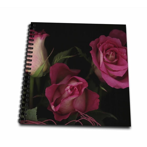 3dRose, Ombre Tea Rose on Black Background, Drawing Book 8 x 8 inch