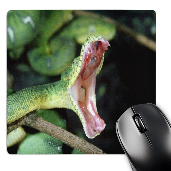 3dRose, Open Fangs Of A Boa, MousePad