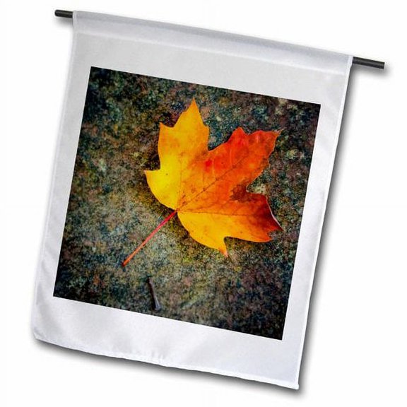 3dRose, Orange Maple Leaf on Rock Face, 12 x 18 inch Garden Flag