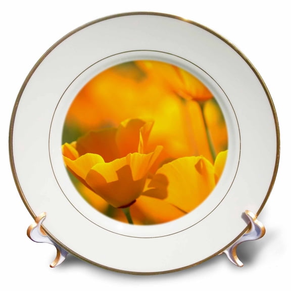 3dRose, Orange Spring - Poppy Flowers - Floral Photography, 8 inch Porcelain Plate
