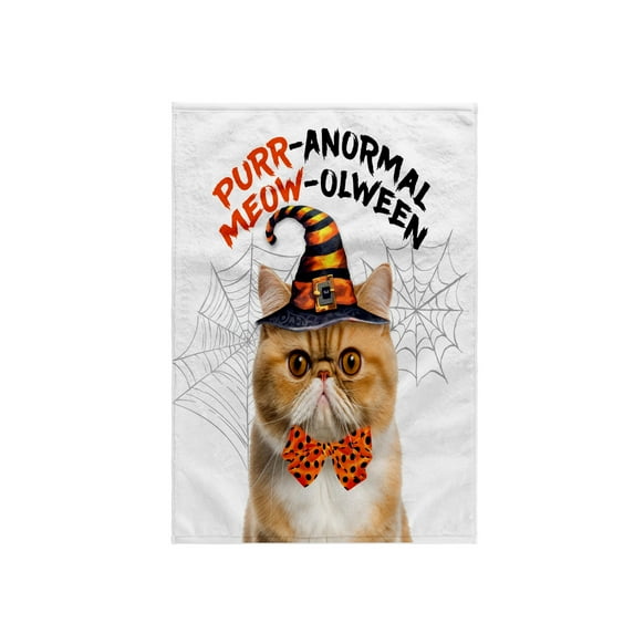 3dRose, Orange Tabby Exotic Shorthair Kitty with Halloween Humor, 15x22 Hand Towel