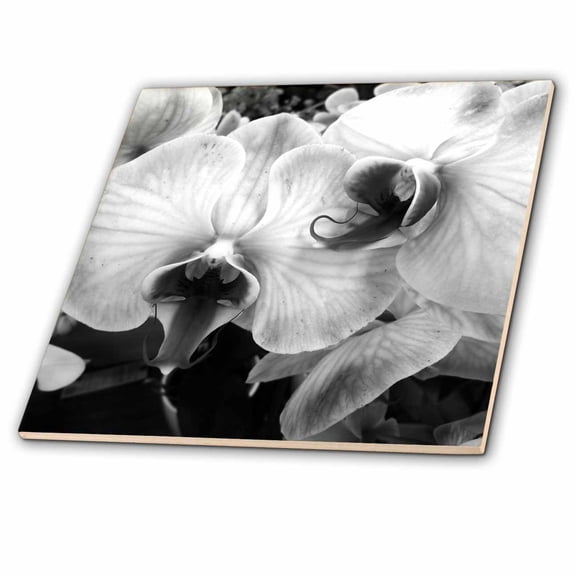 3dRose, Orchid Opposites, 4 Inch Ceramic Tile