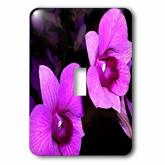 3dRose, Orchids, single toggle switch