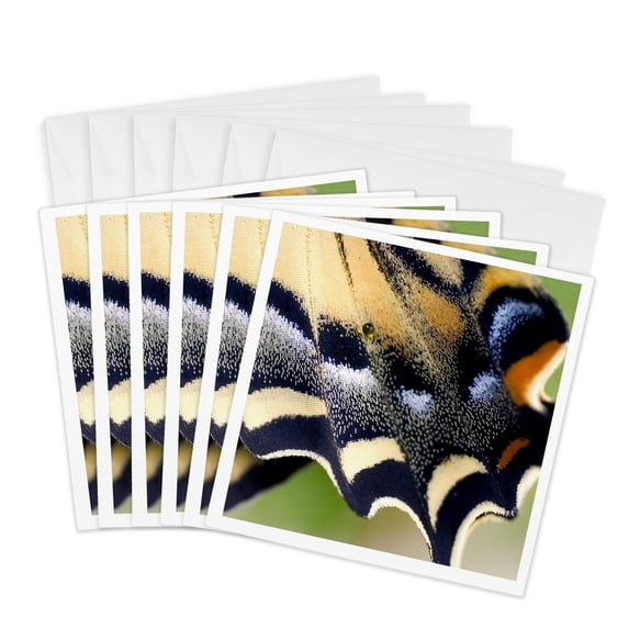 3drose, Oregon, Bend Western Tiger Swallowtail Butterfly - Us38 Rer0395 - Ric Ergenbright, 6 Greeting Cards with Envelopes