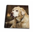 thumbnail image 1 of 3dRose, Oregon, Keizer, Labrador Retriever in backyard. , Drawing Book 8 x 8 inch, 1 of 2