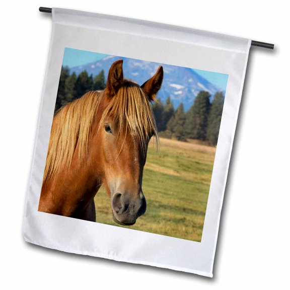 3dRose, Oregon, Three Sisters, Cascade Range, horse - US38 LEN0017 - Lisa S. Engelbrecht, 12 x 18 inch Garden Flag