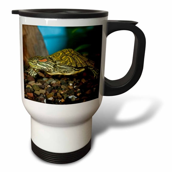 3drose, Ornate Red Ear Slider Turtle - Na02 Dno0772 - David Northcott, 14oz Stainless Steel Travel Mug