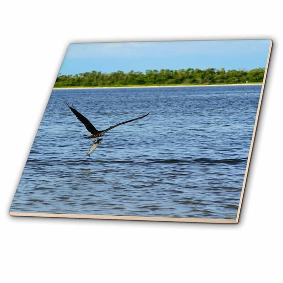 3dRose, Osprey With Fish, 12 Inch Ceramic Tile