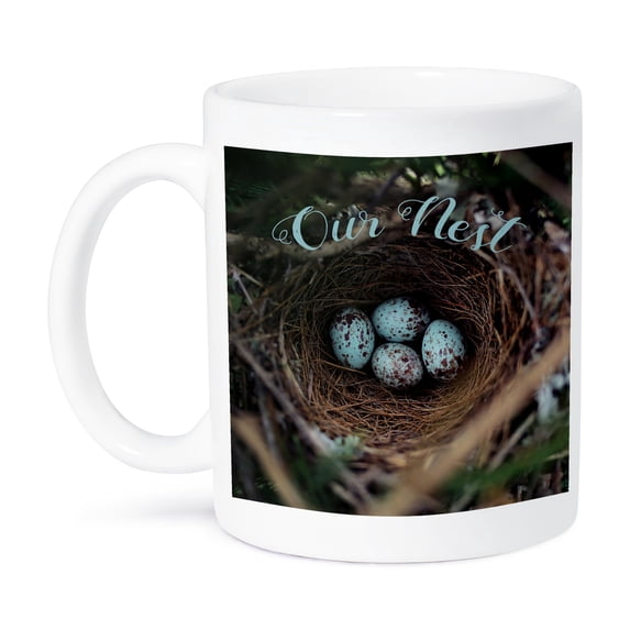 3dRose, Our nest on a photograph of a nest of blue spotted mockingbird eggs., 11oz Mug