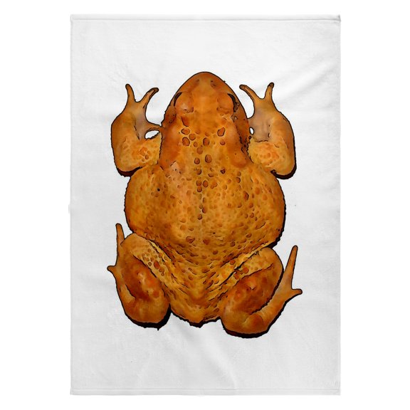 3dRose, Overhead Anatomy of A Toad From Above Black Outline Art, 22x30 Bath Hand Pool Towel