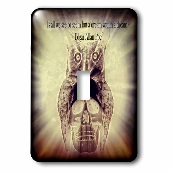 3dRose, Owl Skull Dream is a piece I created with an Edgar Allan Poe quote, single toggle switch
