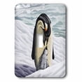 thumbnail image 1 of 3dRose, PENGUIN MOTHER, single toggle switch, 1 of 1