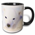 thumbnail image 1 of 3drose, Polar Bear - D, 15oz Two-tone Black Mug, 1 of 6
