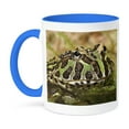 thumbnail image 1 of 3dRose, Pacman frog, South American Horned frog - NA02 AJE0359 - Adam Jones, 11oz Two-Tone Blue Mug, 1 of 3