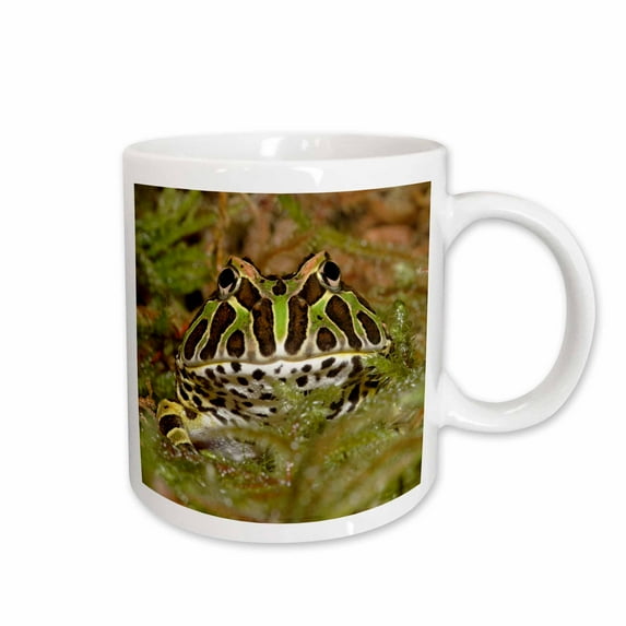3drose, Pacman Frog, South American Horned Frog - Na02 Aje0361 - Adam Jones, 11oz Mug