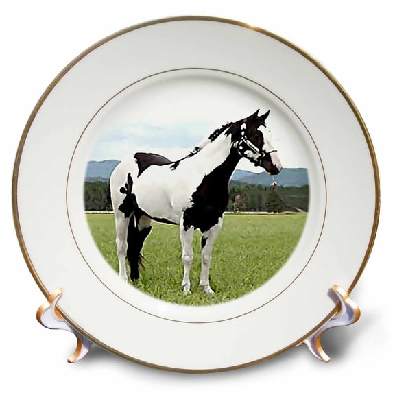 3dRose, Paint Horse, 8 inch Porcelain Plate