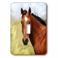thumbnail image 1 of 3dRose, Paint Horse Portrait, single toggle switch, 1 of 1