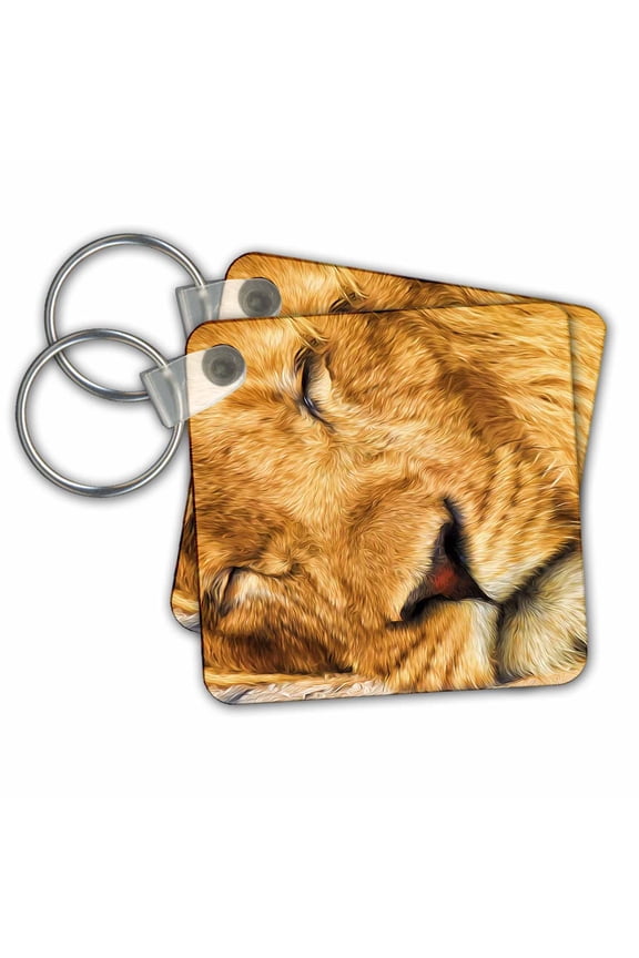 , Painted Portrait of a Sleeping African Lion Close Up, set of 2 Key Chains