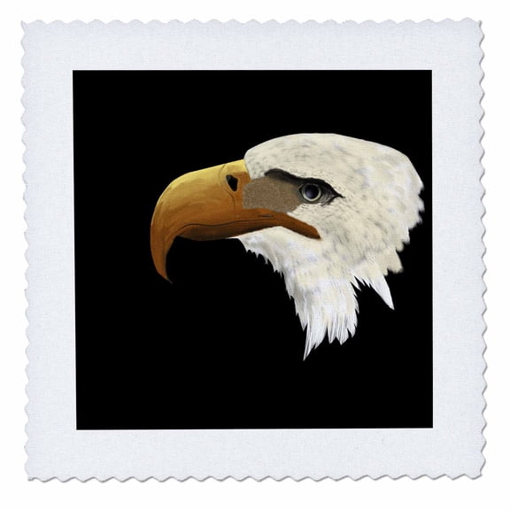 3dRose, Digital painting of an American Bald Eagle head on a black background, 12x12 inch quilt square