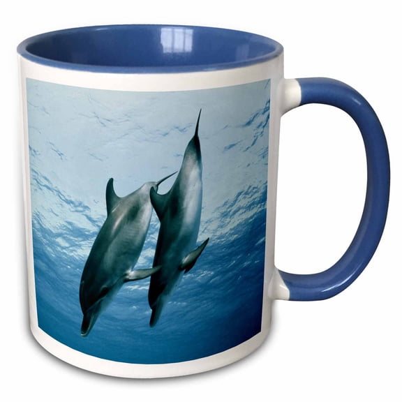 3drose, Pair of Dolphins, 11oz Two-tone Blue Mug
