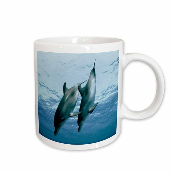 3drose, Pair of Dolphins, 15oz Mug