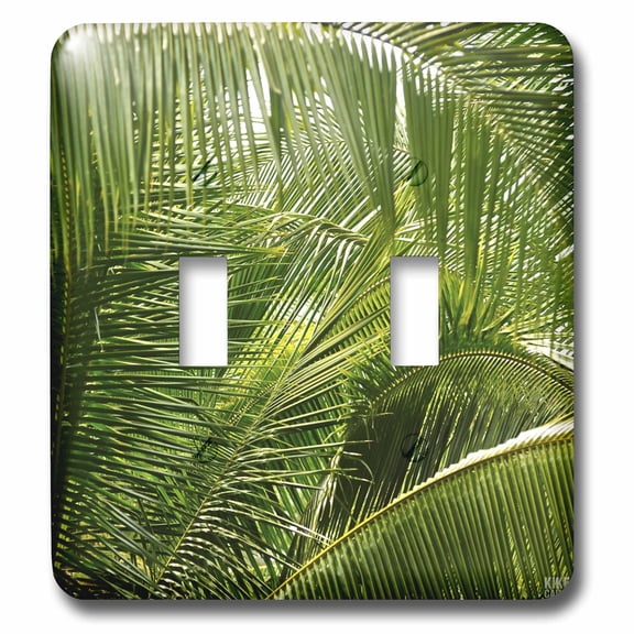 3dRose Palm trees - Double Toggle Switch (lsp_10435_2)