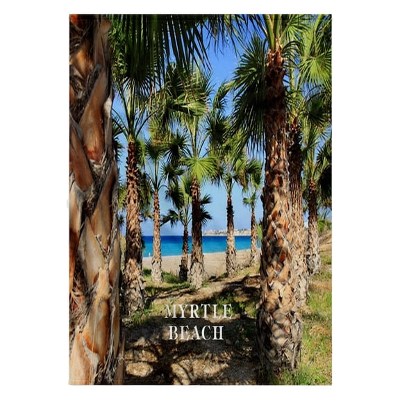 3dRose, Palms Line Myrtle Beach South Carolina, 22x30 Bath Hand Pool Towel