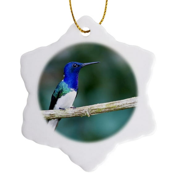 3drose, Panama Canal, Snowy-bellied Hummingbird - Sa15 Bja0010 - Jaynes Gallery, 3 inch Snowflake Porcelain Ornament