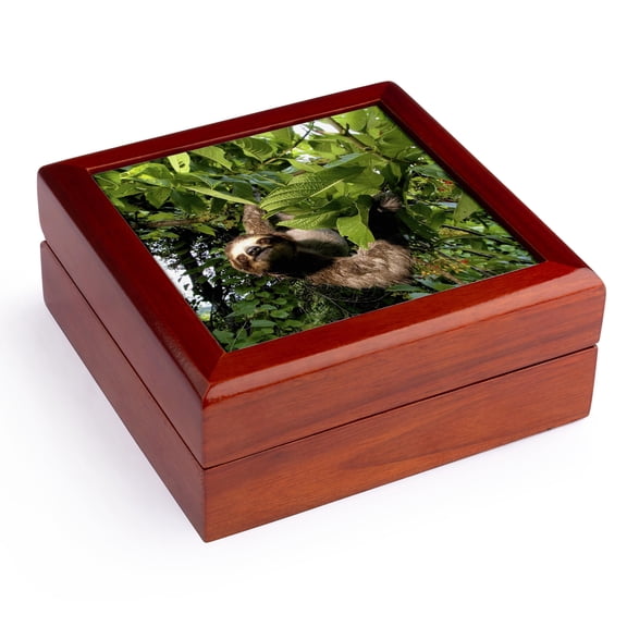 3dRose, Panama, Panama City, Three-toed Sloth wildlife - SA15 CZI0561 - Christian Ziegler, Jewelry Box 5.5x5.5 inch with 4 inch tile