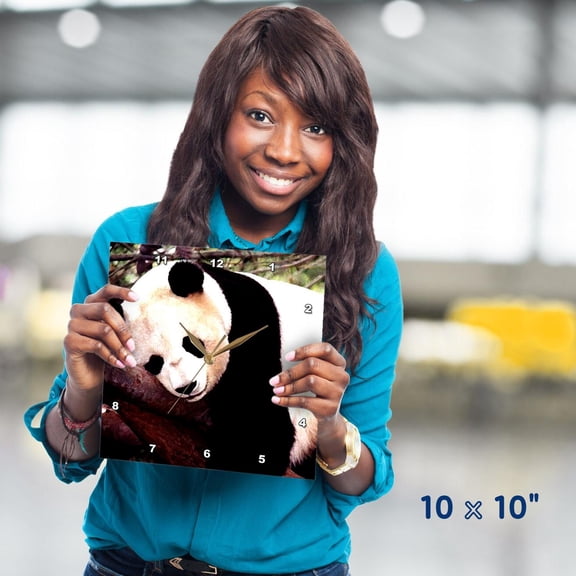 3dRose, Panda Bear, 10x10 Wall Clock