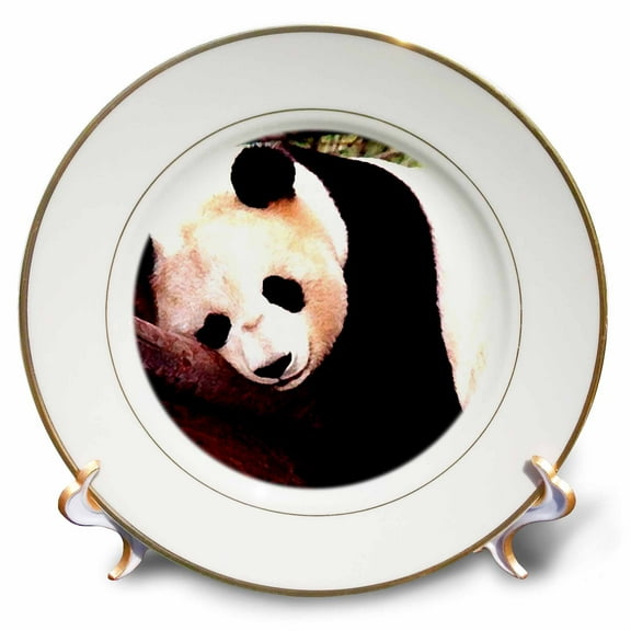 3dRose, Panda Bear, 8 inch Porcelain Plate