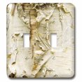 thumbnail image 1 of 3dRose, Paper Birch Tree, Washington Arboretum, Seattle - US48 DGU0233 - Darrell Gulin, double toggle switch, 1 of 1