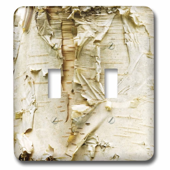 3dRose, Paper Birch Tree, Washington Arboretum, Seattle - US48 DGU0233 - Darrell Gulin, double toggle switch