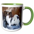 thumbnail image 1 of 3drose, Papillon, 15oz Two-tone Green Mug, 1 of 6