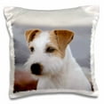 thumbnail image 1 of 3drose, Parson Russell Terrier - Na02 Pwo0133 - Piperanne Worcester, 16x16 inch Pillow Case, 1 of 5