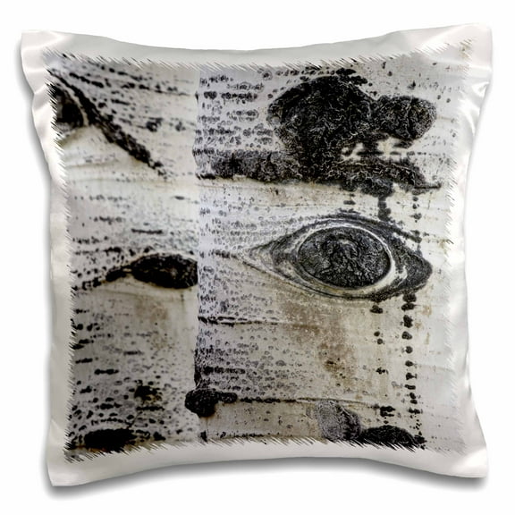 3dRose Pattern on white aspen tree trunks, Uncompahgre NF, Colorado - Pillow Case, 16 by 16-inch