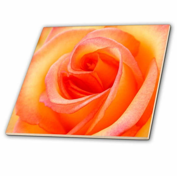 3dRose, Peach Rose, 8 Inch Ceramic Tile