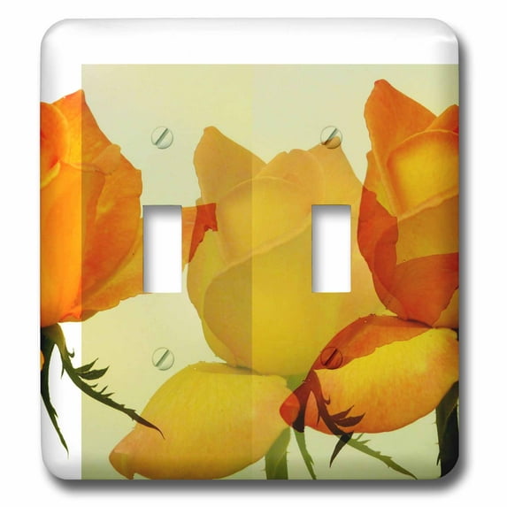 3dRose, Peach Rose Abstract - Flowers - Floral Photography Art, double toggle switch