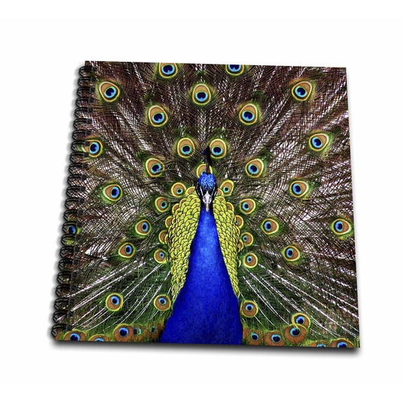 3dRose, Peacock. Blue and yellow, Drawing Book 8 x 8 inch