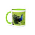 thumbnail image 1 of Peacock On Grass, 15oz Two-Tone Green Mug, 1 of 7
