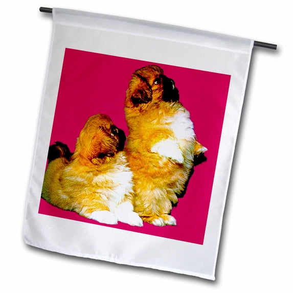 3dRose, Pekingese, 12 x 18 inch Garden Flag