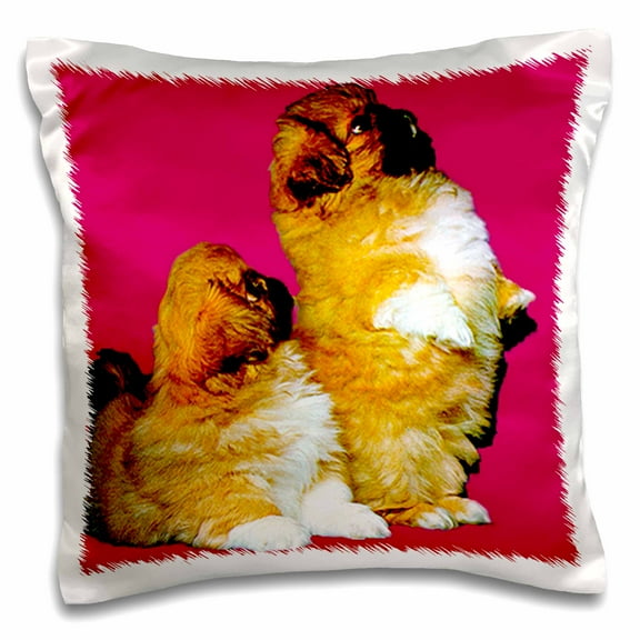 3dRose, Pekingese, 16x16 inch Pillow Case