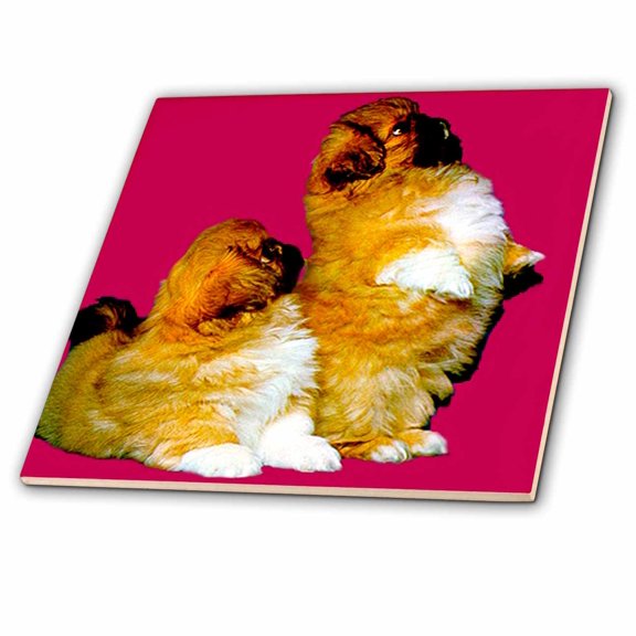 3dRose, Pekingese, 4 Inch Ceramic Tile
