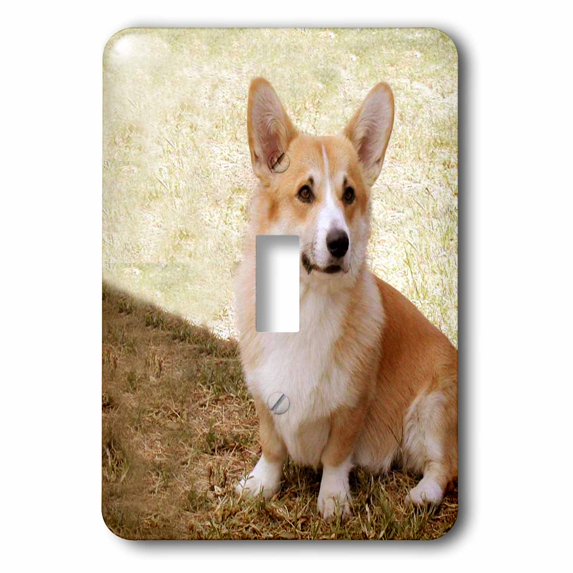 3dRose, Pembroke Welsh Corgi, single toggle switch