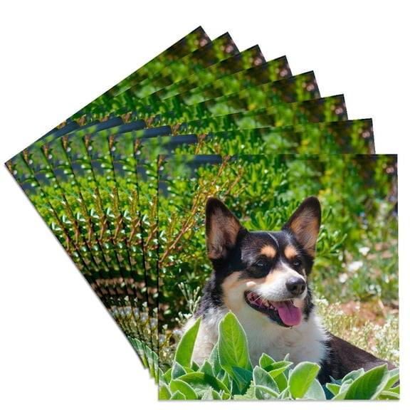 3dRose, Pembroke Welsh Corgi sitting in garden, MR and PR,, Set of 8 Ceramic Tile Coasters