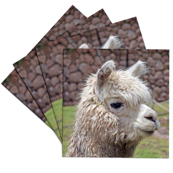 3dRose, Peru. Alpaca wildlife, Awana Kancha, Urubamba Valley - SA17 KWI0128 - Kymri Wilt, Set of 4 Ceramic Tile Coasters